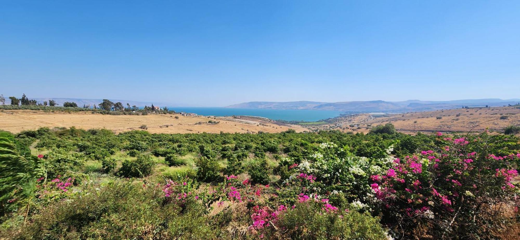 Апартаменти Casa Cohen C Kineret קאסה כהן סי כנרת Мігдаль Екстер'єр фото